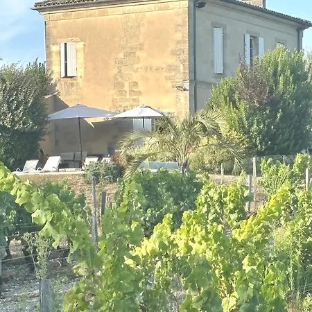 Maison Girondine Au Milieu Des Vignes Du Chateau D Yquem Avec Belle Vue Preignac