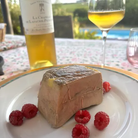 Σπίτι διακοπών Maison Girondine Au Milieu Des Vignes Du Chateau D Yquem Avec Belle Vue *