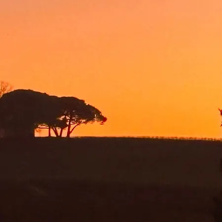 Maison Girondine Au Milieu Des Vignes Du Chateau D Yquem Avec Belle Vue * Preignac